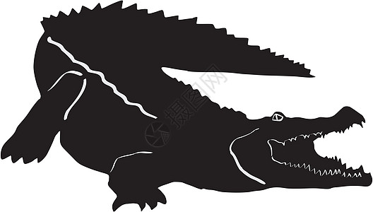 宠物大作战鳄鱼插图捕食者沼泽黑色宠物动物园寓言多刺颅骨危险动物插画