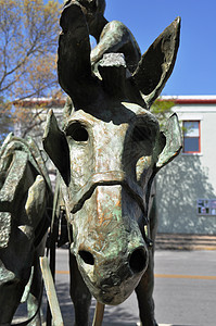 马雕像德克萨斯艺术青铜雕塑图片