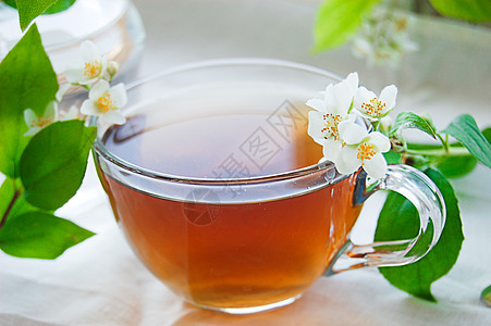 一杯含茉莉的绿茶茉莉花饮料生活草本植物白色叶子杯子茶壶勺子玻璃图片