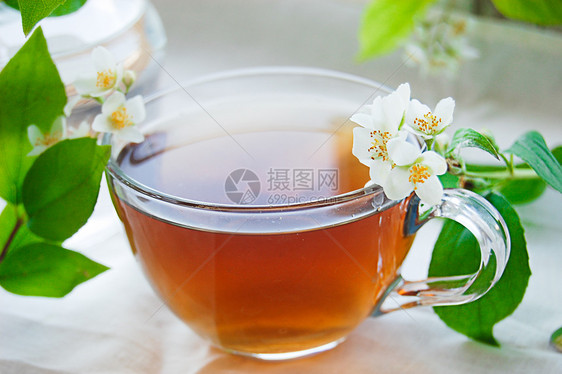 一杯含茉莉的绿茶茉莉花饮料生活草本植物白色叶子杯子茶壶勺子玻璃图片