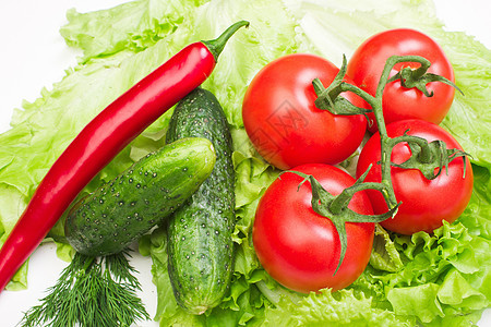 番茄和蔬菜营养生产收成团体市场花园食物农场树叶营养素图片