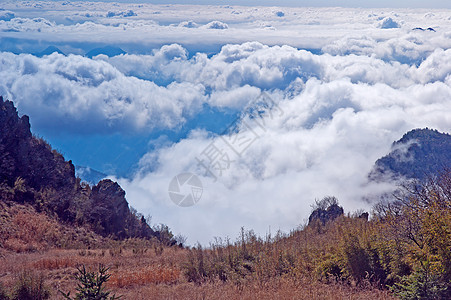 中国湖北申农家山地貌树木松树森林旅游山脉图片