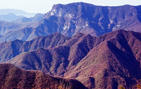 中国湖北申农家山地貌山脉森林旅游松树树木图片