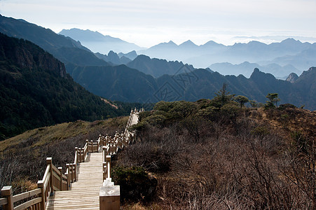 中国湖北申农家山地貌树木森林松树旅游山脉图片