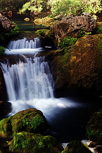 溪流  一个小瀑布苔藓风景白色岩石绿色背景图片