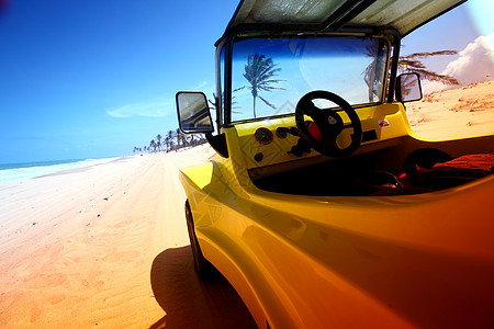 汽车  导航仪沙漠昆虫玩具控制冒险引擎驾驶地标荒野晴天假期汽车背景