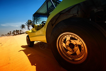 沙漠昆虫驾驶车轮太阳汽车运动速度力量闲暇假期海洋图片