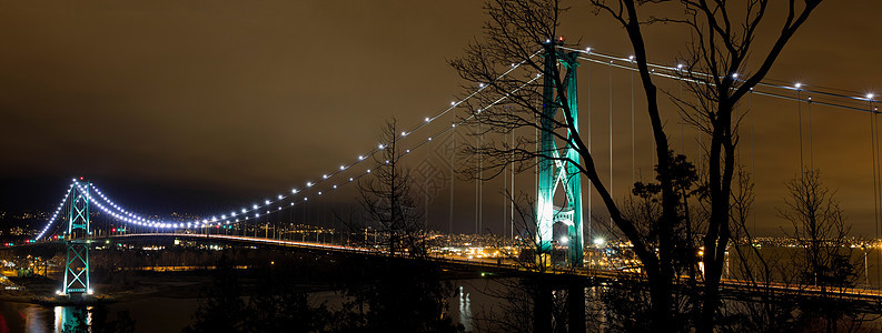 夜间温哥华Bc的狮子门桥图片