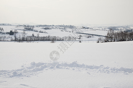 下雪景植物群森林天气气候自然降雪旅行假期照明全景图片