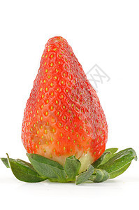新鲜的里普完美草莓宏观美食家叶子红色健康饮食横截面植物食物影棚水果图片