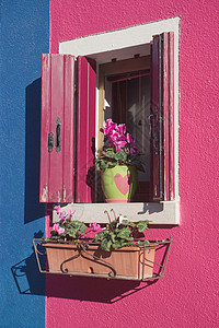 窗户 波拉诺岛文化建筑粉色景观城市建筑学房子旅行蓝色旅游图片
