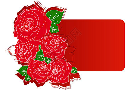 红玫瑰贺卡空白生日创造力网络推介会插图婚礼花朵玫瑰红色图片