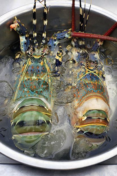 新鲜龙虾红色贝类专业柜台菜单海鲜食物美味奢华烹饪图片