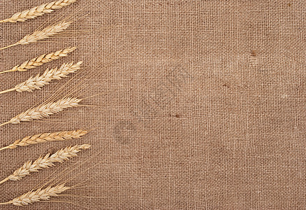 粗布背景的小麦耳朵边框尖刺玉米稻草收成谷物帆布生产解雇粮食生长图片