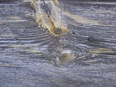 漂亮的木质板     一块木料木头控制板森林艺术品备案宏观碎片松树艺术苔藓图片