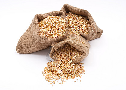 小麦谷袋谎言碳水气味粮食稀饭食物棕褐色宏观化合物产品图片