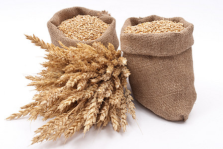 小麦谷袋宏观饮食活力棕褐色气味谎言种子稀饭解雇碳水图片