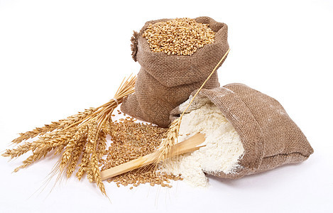 面粉和小麦谷物粮食收成季节解雇玉米黄麻团体木板种子食物图片