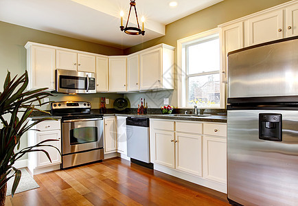 古老的白色和绿色的新厨房 有樱桃地板图片