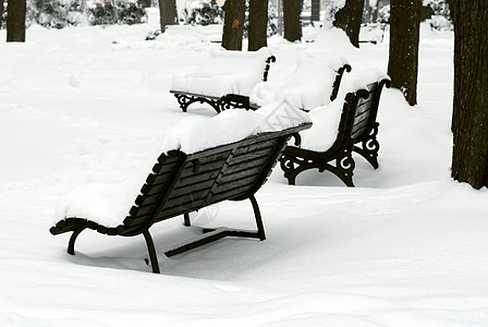 下雪法官座暴风雪冻结季节长椅天气黑色季节性公园风景白色图片