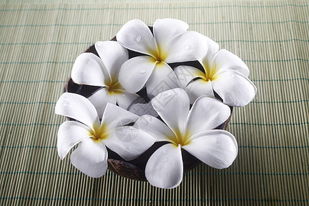 弗朗比帕尼黄色椰子壳鸡蛋花热带作品白色香味花瓣香水温泉图片