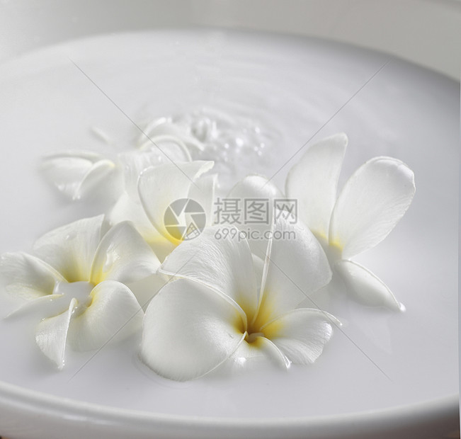 花瓣浴对花瓣的要求是什么