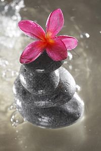 弗朗比帕尼平衡卵石黑色反射石头波纹温泉花瓣冥想粉色图片