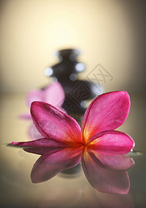 弗朗比帕尼花瓣卵石岩石冥想粉色黑色温泉治疗反射平衡图片