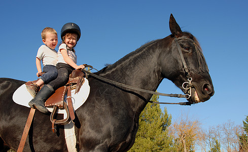 种马儿童天空微笑宠物孩子们蓝色牛仔家庭骑马学校动物图片