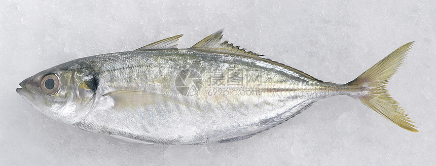 鱼鱼类海鲜食物市场熟鱼生活方式海鱼健康饮食营养食品图片