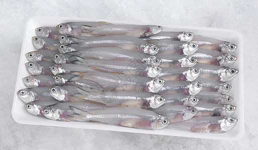 鱼鳀鱼海鲜水平熟鱼生活方式市场托盘鱼类健康饮食泡沫图片