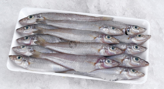 鱼营养熟鱼饮食泡沫食品生活方式海鲜托盘鱼类水平图片