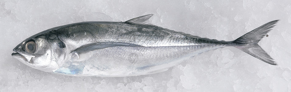 Cincaru鱼金鱼健康饮食生活方式熟鱼食物市场海鲜水平图片