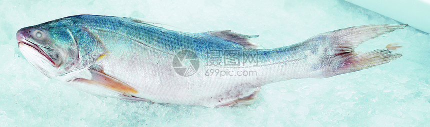 鱼熟鱼九尾健康饮食水平生活方式海鲜市场食物图片