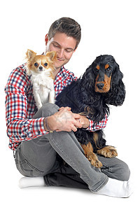 公鸡 吉华花和人微笑朋友们棕色黑色宠物工作室犬类友谊猎犬小狗图片
