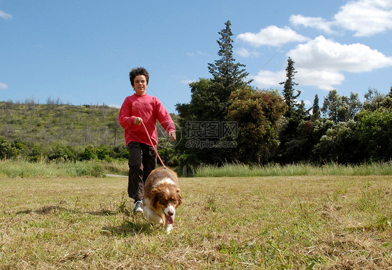 小女孩和她的狗伴侣场地动物宠物犬类牧羊犬友谊女孩图片