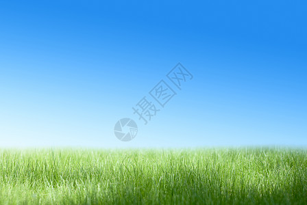 绿地和蓝天空季节气候土地蓝色天气环境天空植物场景草地图片