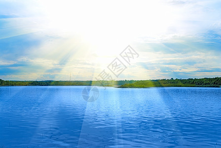 夏季夏月银行气候草地断路器晴天芦苇蓝天天气花朵海滩图片