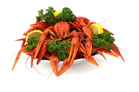 龙虾食物红色贝类美食午餐海鲜图片