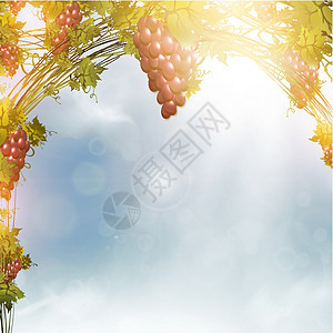 红葡萄天堂花园插图收成情绪植物叶子射线农场水果图片