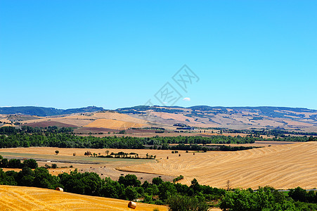 托斯卡纳景观焦土环境场地蓝色森林地平线农田草地橙子爬坡图片