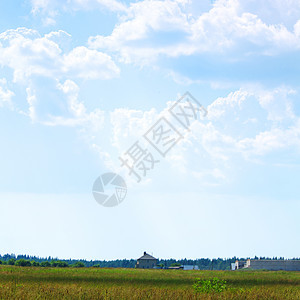 绿绿地天空蓝色远景草原太阳植物农业草地场景牧场图片