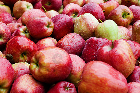 提取苹果食物农业红色财富水果收获背景图片