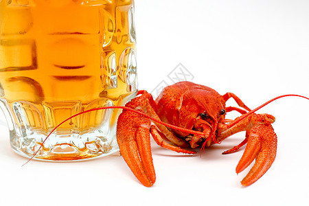 啤酒和龙虾香菜美食红色小吃渔业午餐橙子海洋爪子桌子图片