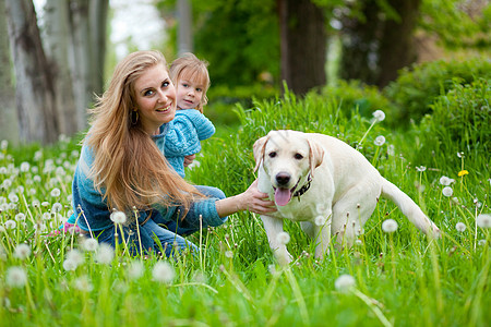 带着女孩和狗的女人拥抱草地友谊女士猎犬乐趣闲暇家庭宠物公园图片