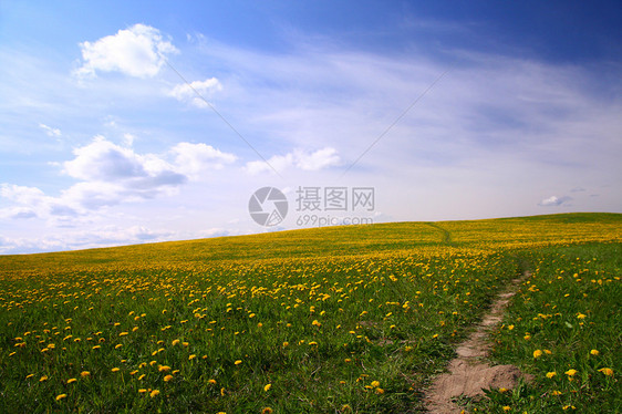 山地景观天空幸福季节农场晴天墙纸草地环境花瓣叶子图片