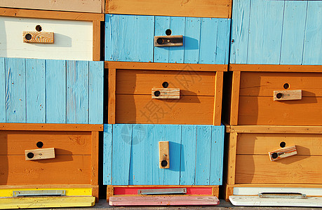全新的新蜜蜂屋草地盒子蜂窝橙子内衬农场动物房子昆虫养蜂人图片
