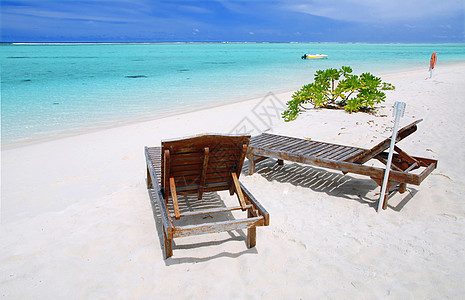 天堂中的放松椅子植被风景海岸美丽海景椰子支撑帆布娱乐图片