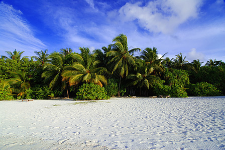 沙滩椰子棕榈阳光海洋娱乐天空热带旅游蓝色异国风景太阳图片