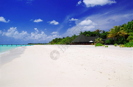 马尔代夫天堂阳光海浪异国椰子植被旅游海岸线风景棕榈图片